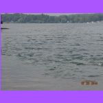 Water - Lake Ontario.jpg